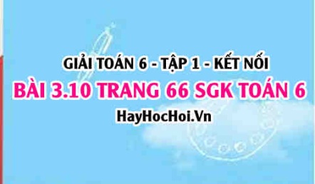 Giải bài 3.10 trang 66 Toán 6 Tập 1 SGK Kết nối tri thức